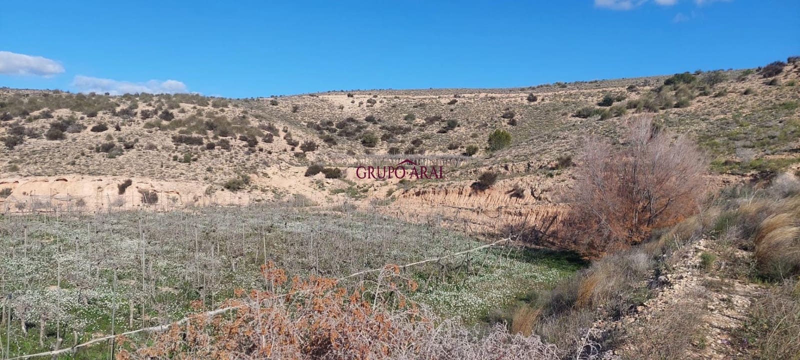 Terreno/Finca Rústica en Monforte del Cid en venta - 200.000 € (Ref: 10067850)