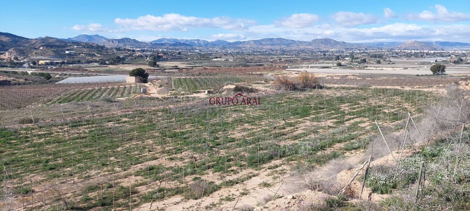 Terreno/Finca Rústica en Monforte del Cid en venta - 200.000 € (Ref: 10067850)
