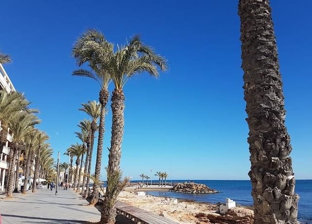 1 slaapkamer Commercieel te koop in Playa del Cura, Torrevieja - € 2.000.000 (Ref: 10109869)