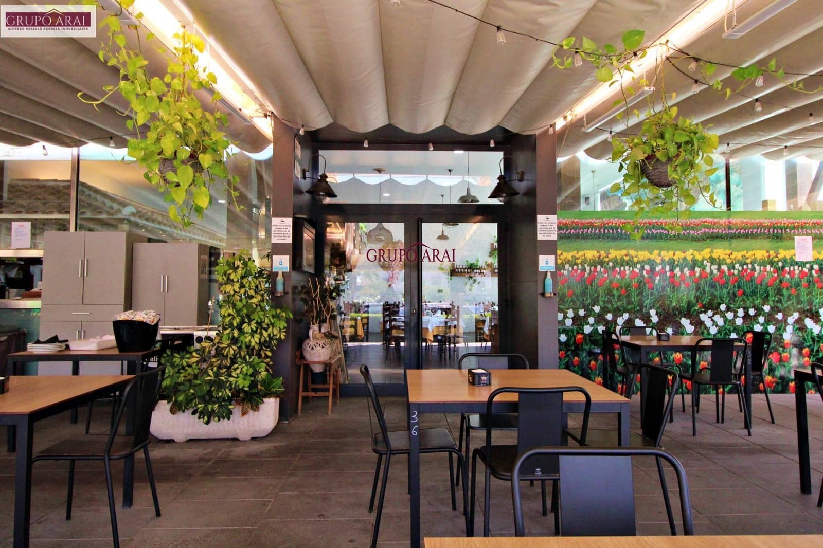 Business for rent in San Vicente / Sant Vicent del Raspeig - € 2,400 (Ref: 8554177)