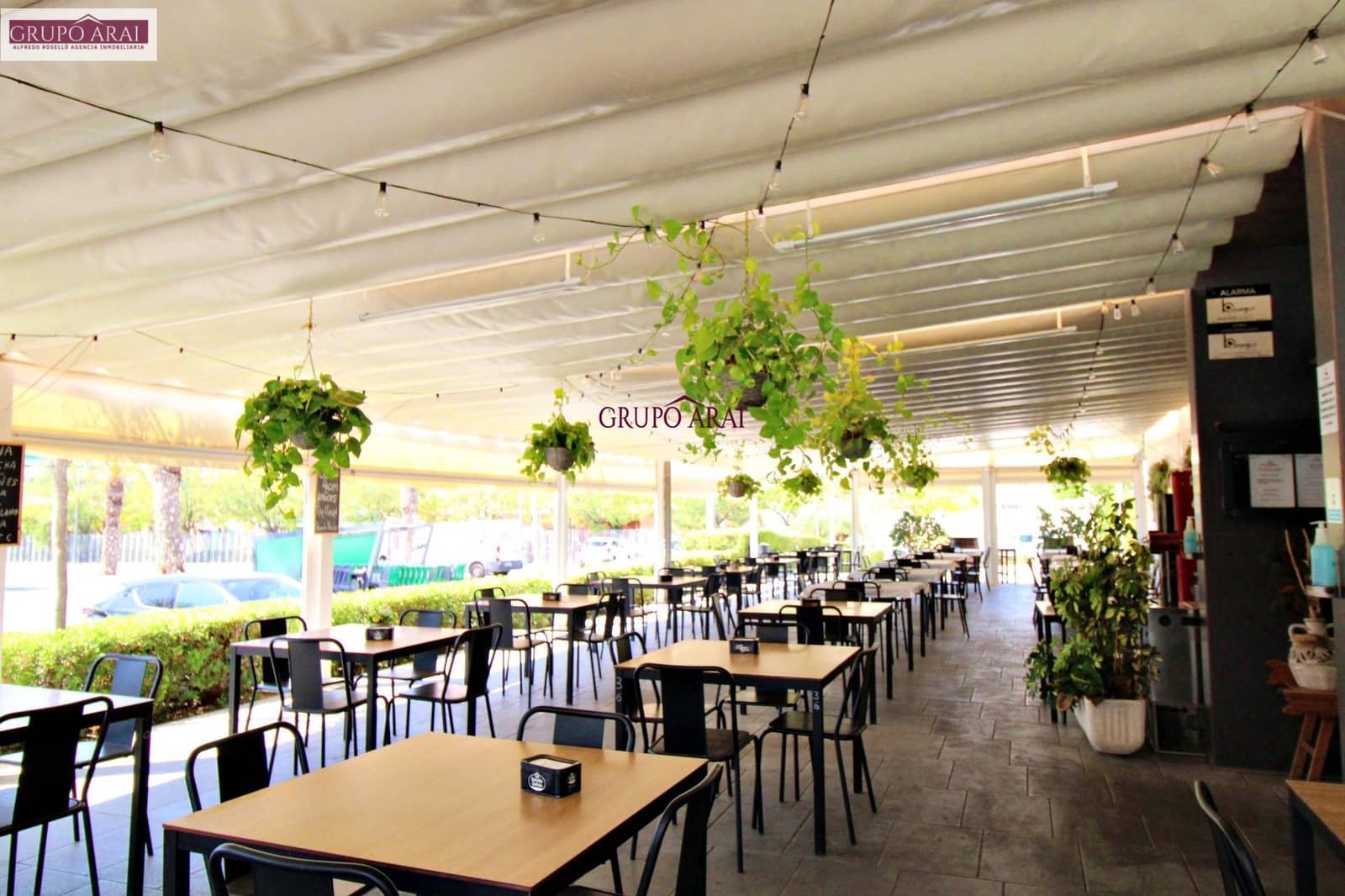 Business for rent in San Vicente / Sant Vicent del Raspeig - € 2,400 (Ref: 8554177)