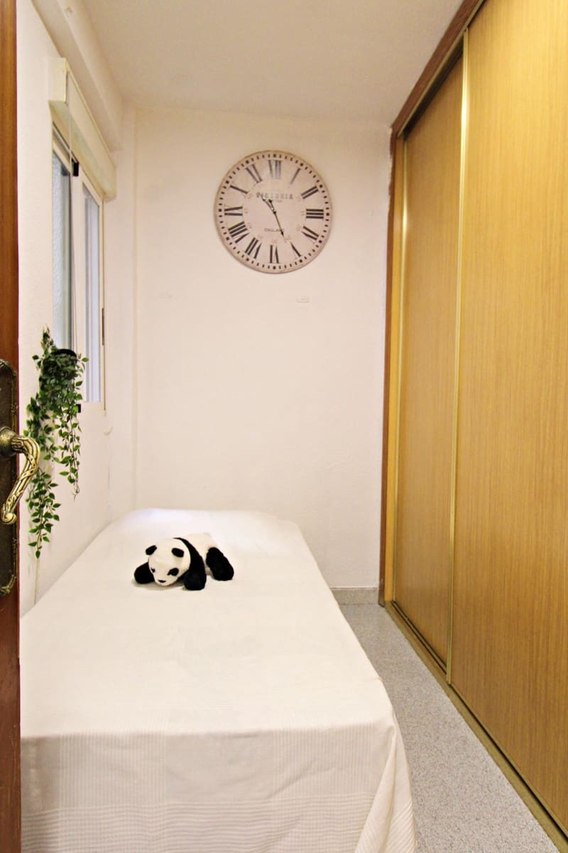 3 bedroom Flat for rent in Alicante / Alacant city - € 900 (Ref: 8789539)