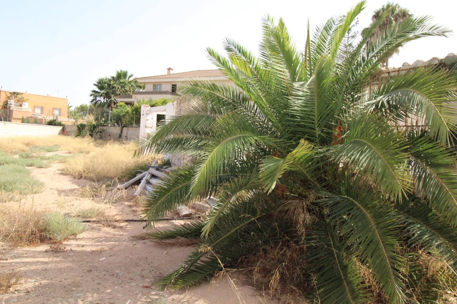 Działka budowlana na sprzedaż w San Vicente / Sant Vicent del Raspeig - 300 000 € (Ref: 9192521)