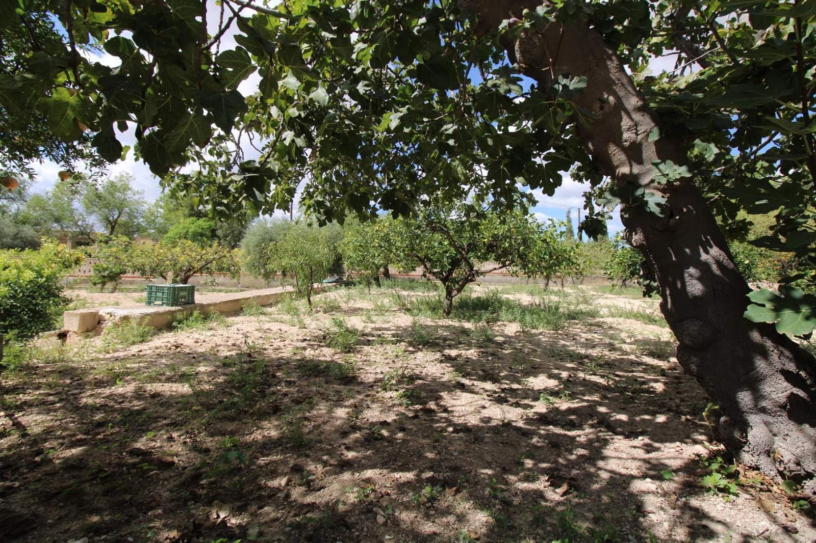 9 soveværelse Villa til salg i Canada del Fenollar med swimmingpool - € 550.000 (Ref: 9206641)