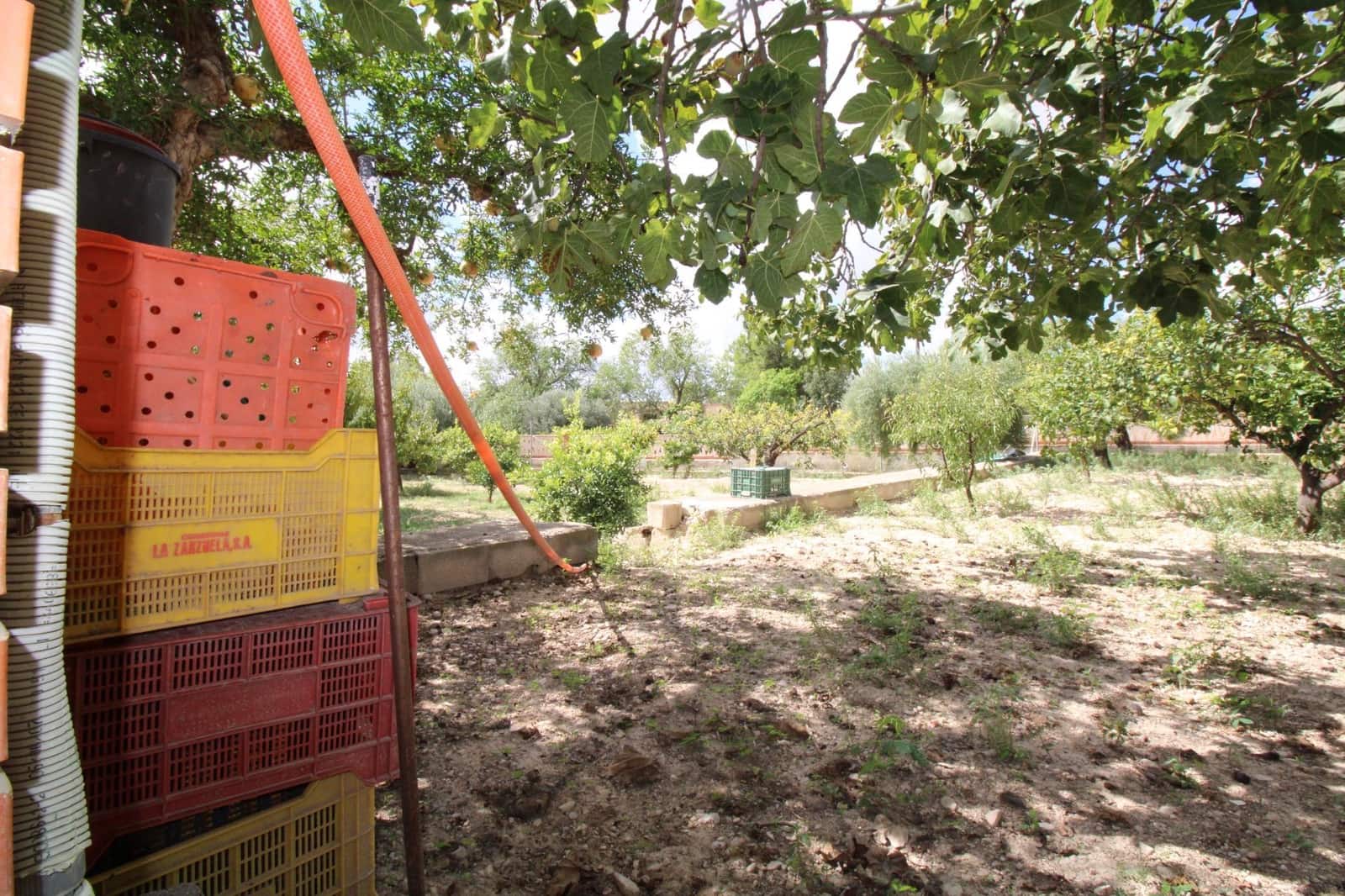 9 soveværelse Villa til salg i Canada del Fenollar med swimmingpool - € 550.000 (Ref: 9206641)