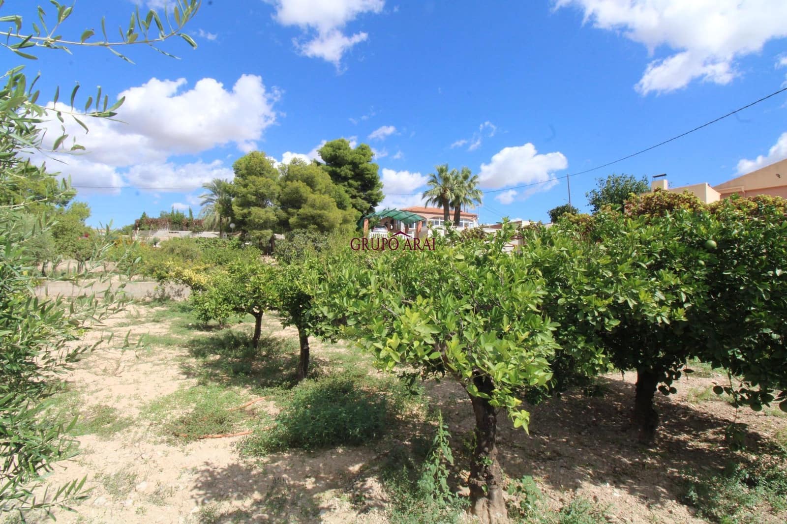 5 soveværelse Villa til salg i Canada del Fenollar med swimmingpool - € 530.000 (Ref: 9206641)