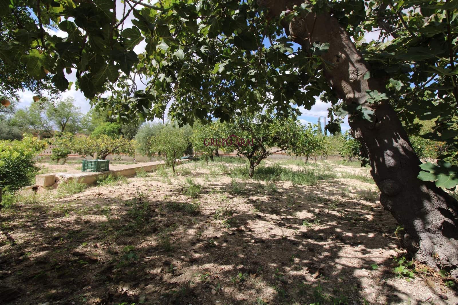 5 soveværelse Villa til salg i Canada del Fenollar med swimmingpool - € 530.000 (Ref: 9206641)