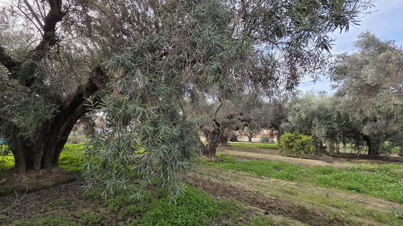 Bouwgrond te koop in Villafranqueza - € 120.000 (Ref: 9513564)