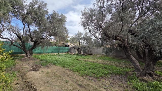 Bouwgrond te koop in Villafranqueza, Alicante stad - € 120.000 (Ref: 9513564)