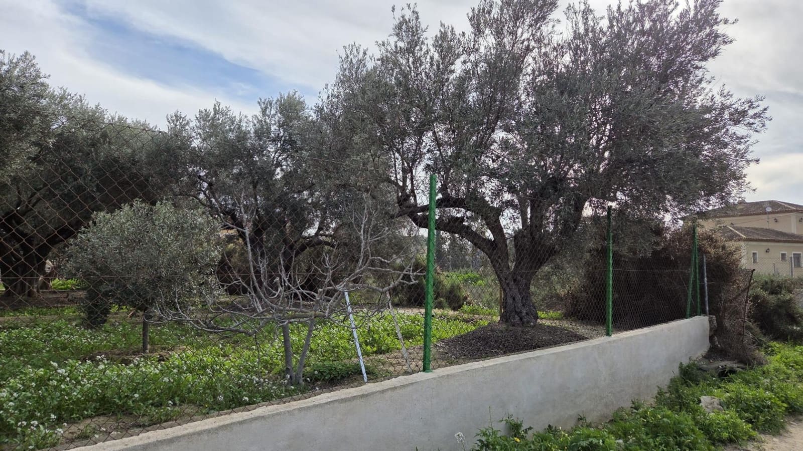 Bouwgrond te koop in Villafranqueza - € 120.000 (Ref: 9513564)