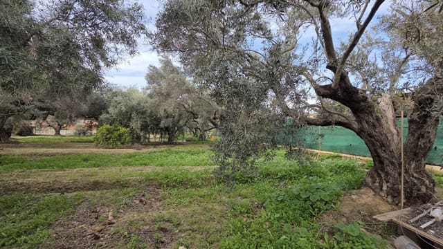 Bouwgrond te koop in Villafranqueza, Alicante stad - € 120.000 (Ref: 9513564)