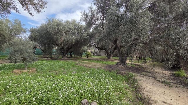 Bouwgrond te koop in Villafranqueza, Alicante stad - € 120.000 (Ref: 9513564)