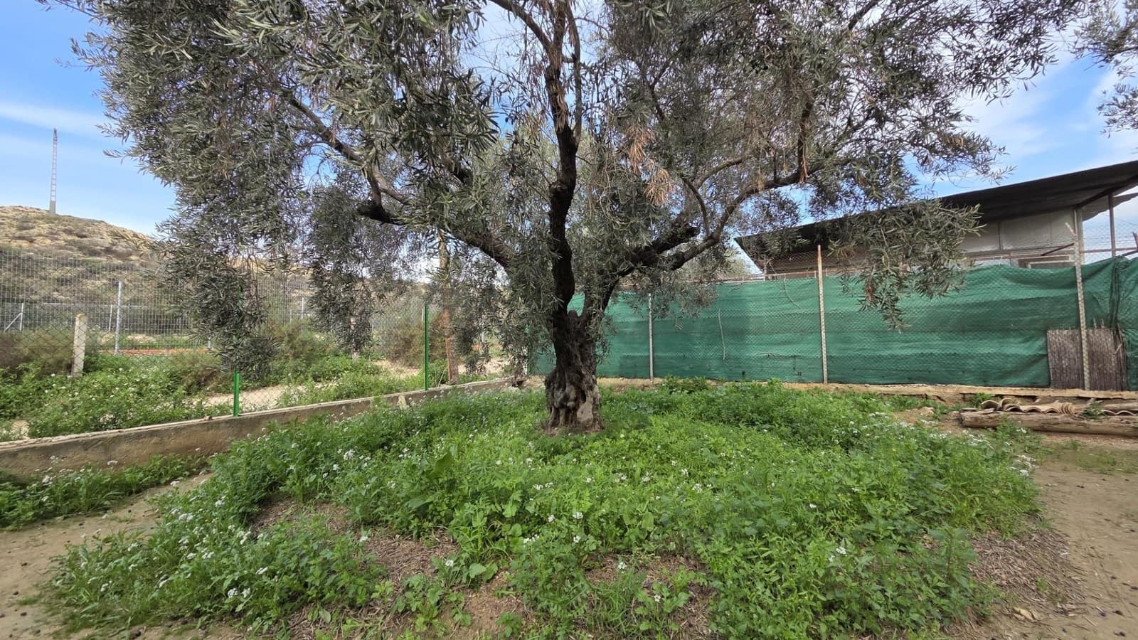 Bouwgrond te koop in Villafranqueza - € 120.000 (Ref: 9513564)