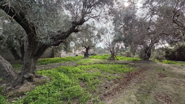 Bouwgrond te koop in Villafranqueza, Alicante stad - € 120.000 (Ref: 9513564)