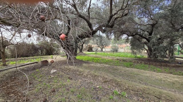 Bouwgrond te koop in Villafranqueza, Alicante stad - € 120.000 (Ref: 9513564)