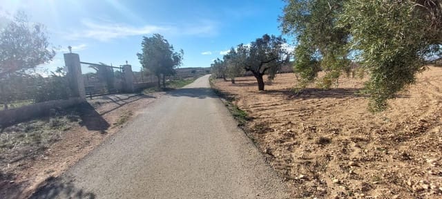 Landgrundstück zu verkaufen in Molins - Campaneta - San Bartolomé, Orihuela - 52.000 € (Ref: 9543815)