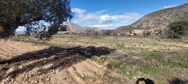 Landgrundstück zu verkaufen in Molins - Campaneta - San Bartolomé, Orihuela - 52.000 € (Ref: 9543815)