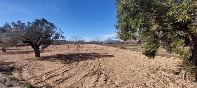 Landgrundstück zu verkaufen in Molins - Campaneta - San Bartolomé, Orihuela - 52.000 € (Ref: 9543815)