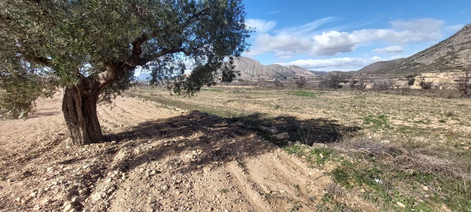 Ubebygd land til salgs i Orihuela - € 52 000 (Ref: 9543815)