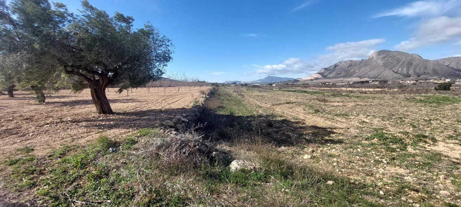 Ubebygd land til salgs i Orihuela - € 52 000 (Ref: 9543815)