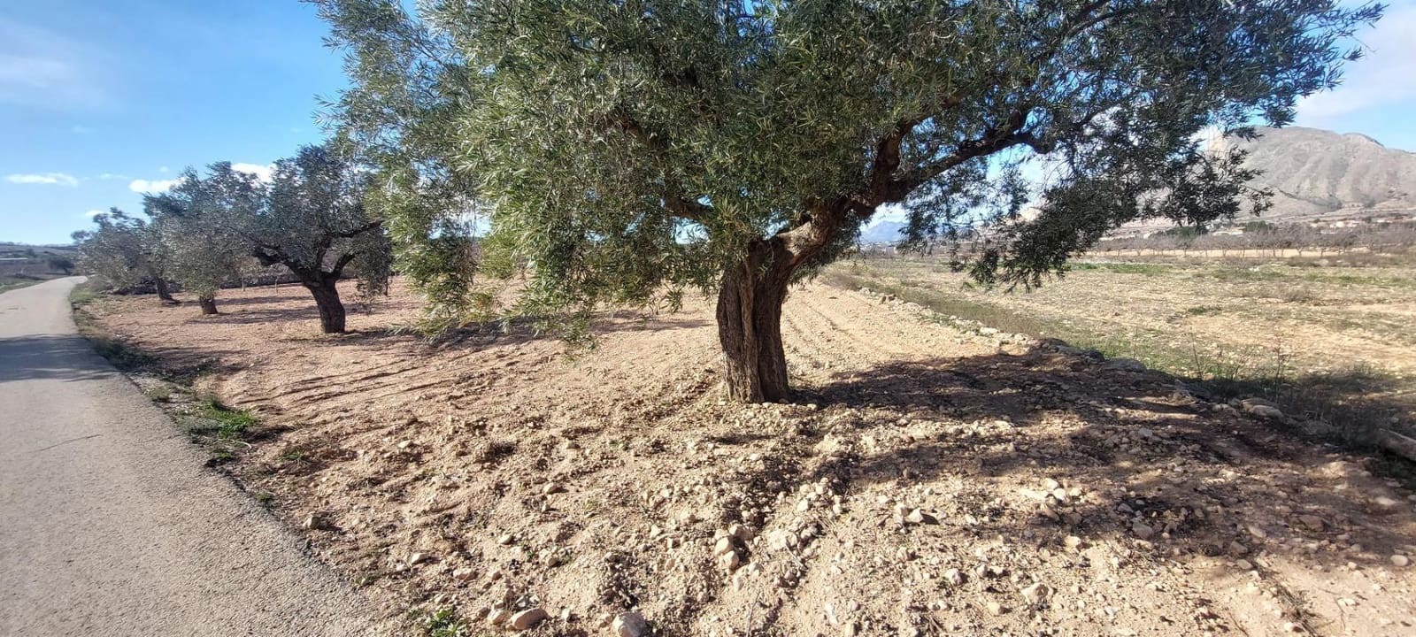 Ubebygd land til salgs i Orihuela - € 52 000 (Ref: 9543815)