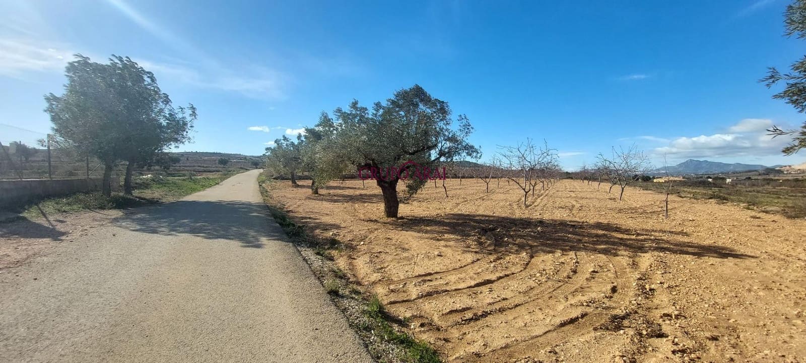 Ubebygd land til salgs i Orihuela - € 52 000 (Ref: 9543815)