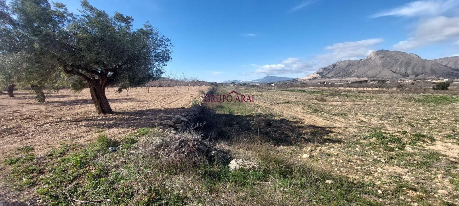 Ubebygd land til salgs i Orihuela - € 52 000 (Ref: 9543815)