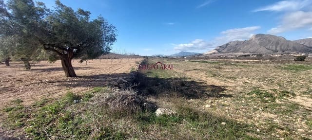 Ubebygd land til salgs i Molins - Campaneta - San Bartolomé, Orihuela - € 52 000 (Ref: 9543815)