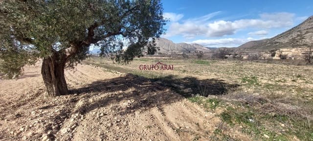 Ubebygd land til salgs i Molins - Campaneta - San Bartolomé, Orihuela - € 52 000 (Ref: 9543815)