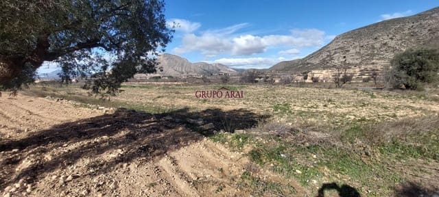 Ubebygd land til salgs i Molins - Campaneta - San Bartolomé, Orihuela - € 52 000 (Ref: 9543815)