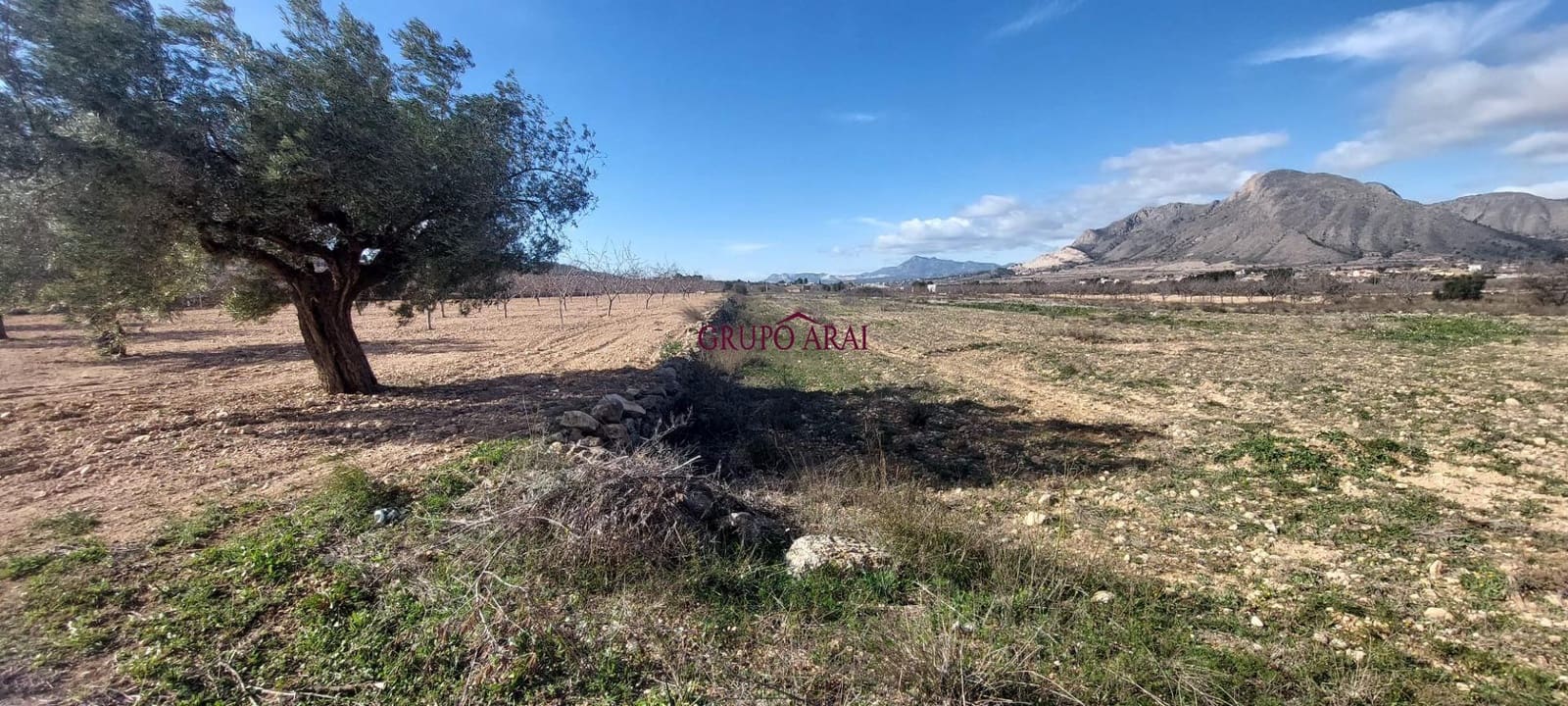 Ubebygd land til salgs i Orihuela - € 52 000 (Ref: 9543815)