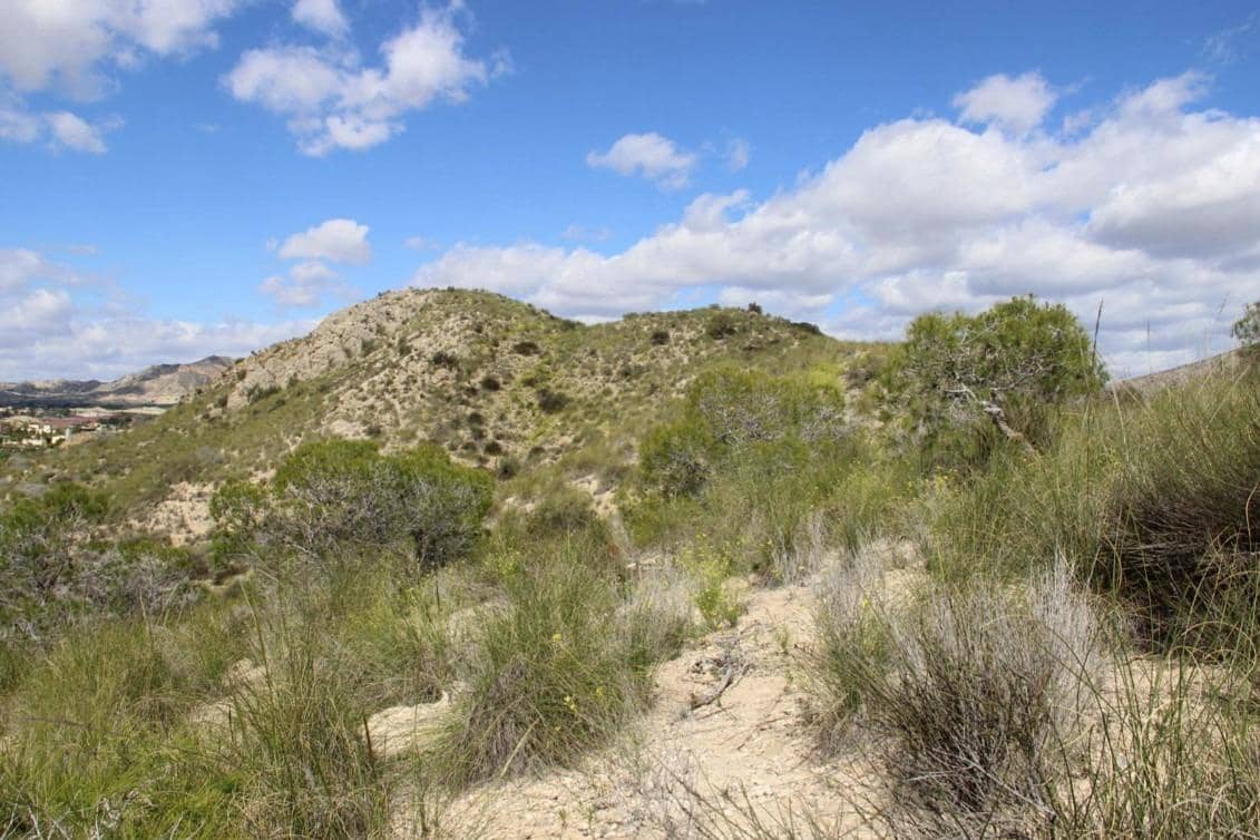 Grunde uden byggetilladelser til salg i Alicante by - € 120.000 (Ref: 9562051)