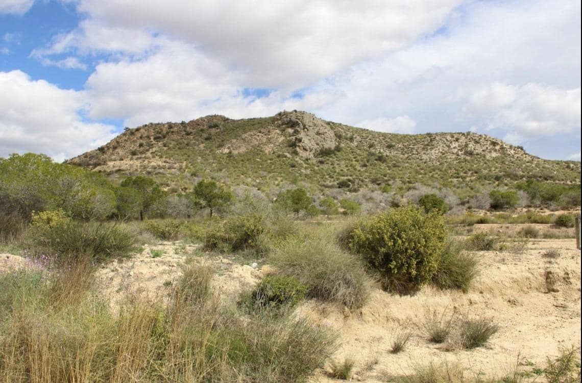 Grunde uden byggetilladelser til salg i Alicante by - € 120.000 (Ref: 9562051)