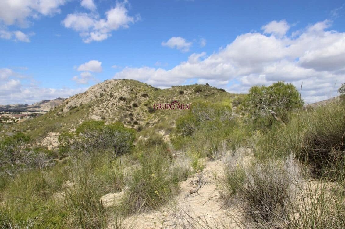 Undeveloped Land for sale in Alicante / Alacant city - € 110,000 (Ref: 9562051)