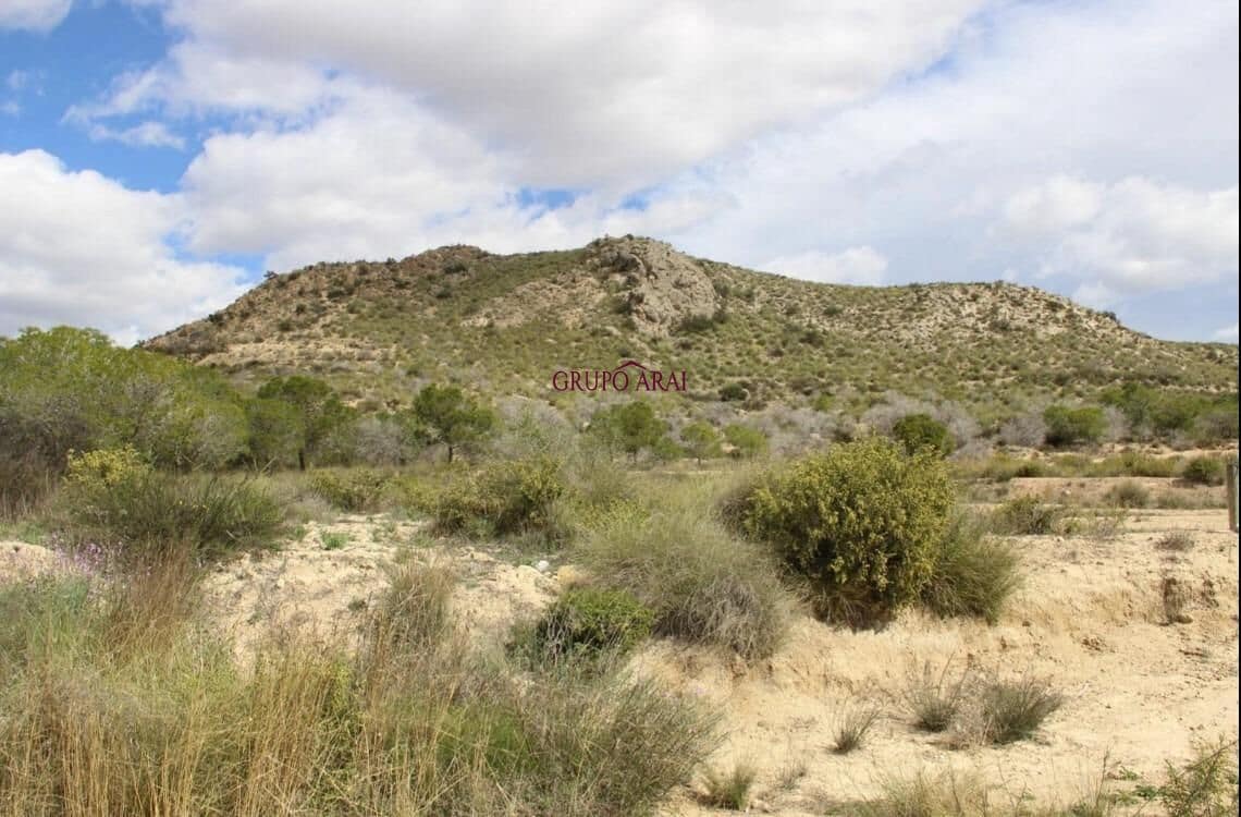 Undeveloped Land for sale in Alicante / Alacant city - € 110,000 (Ref: 9562051)