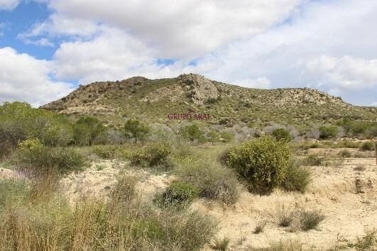 Grunde uden byggetilladelser til salg i Pla de la Vallonga, Alicante by - € 110.000 (Ref: 9562051)