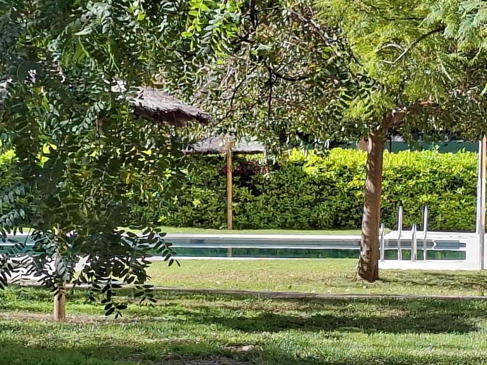 Piso de 3 habitaciones en Playa de San Juan en venta con piscina - 429.000 € (Ref: 9627782)