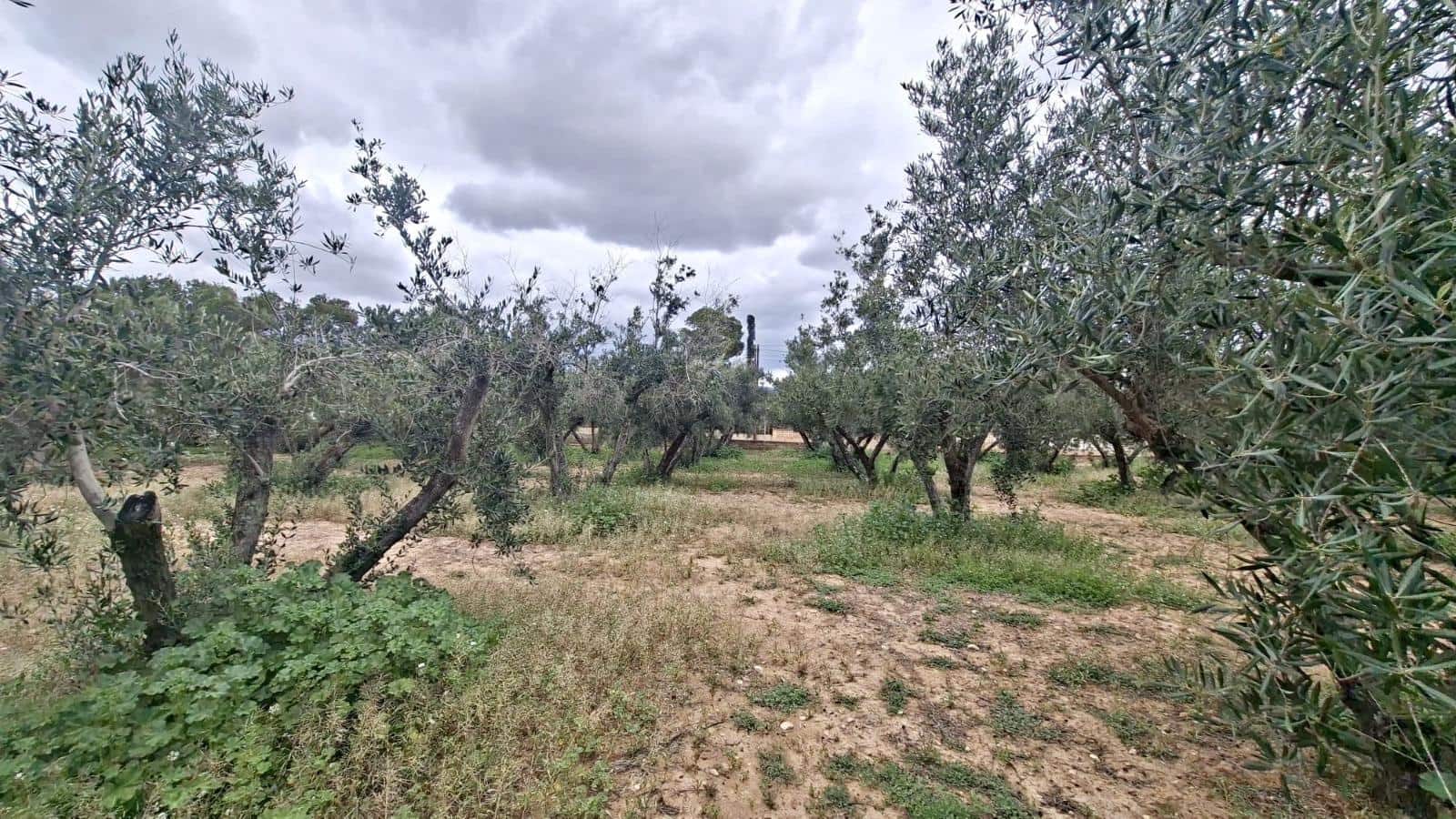 Bauplatz zu verkaufen in Canada del Fenollar - 152.000 € (Ref: 9686748)