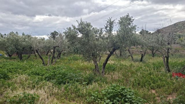 Bauplatz zu verkaufen in Cañada del Fenollar, Alicante / Alacant Stadt - 152.000 € (Ref: 9686748)