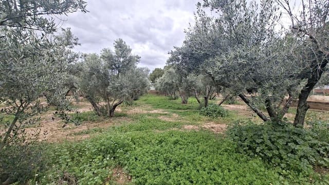Bauplatz zu verkaufen in Cañada del Fenollar, Alicante / Alacant Stadt - 152.000 € (Ref: 9686748)