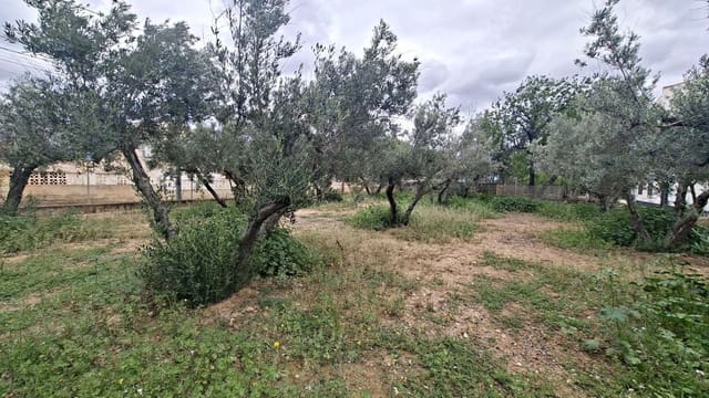 Bauplatz zu verkaufen in Cañada del Fenollar, Alicante / Alacant Stadt - 152.000 € (Ref: 9686748)