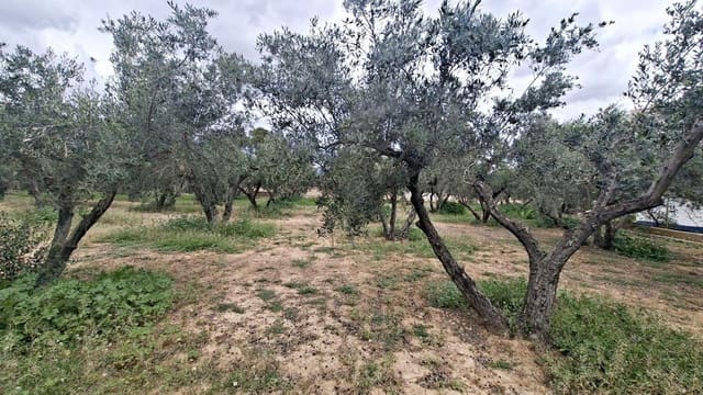 Bauplatz zu verkaufen in Cañada del Fenollar, Alicante / Alacant Stadt - 152.000 € (Ref: 9686748)