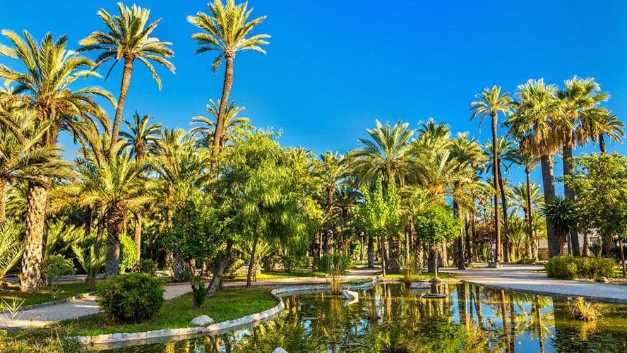 3 slaapkamer Flat te koop in Elche / Elx - € 120.000 (Ref: 9948071)