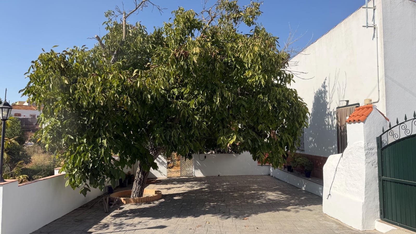 Terreno Não Urbanizado para venda em Alosno - 190 000 € (Ref: 10043140)