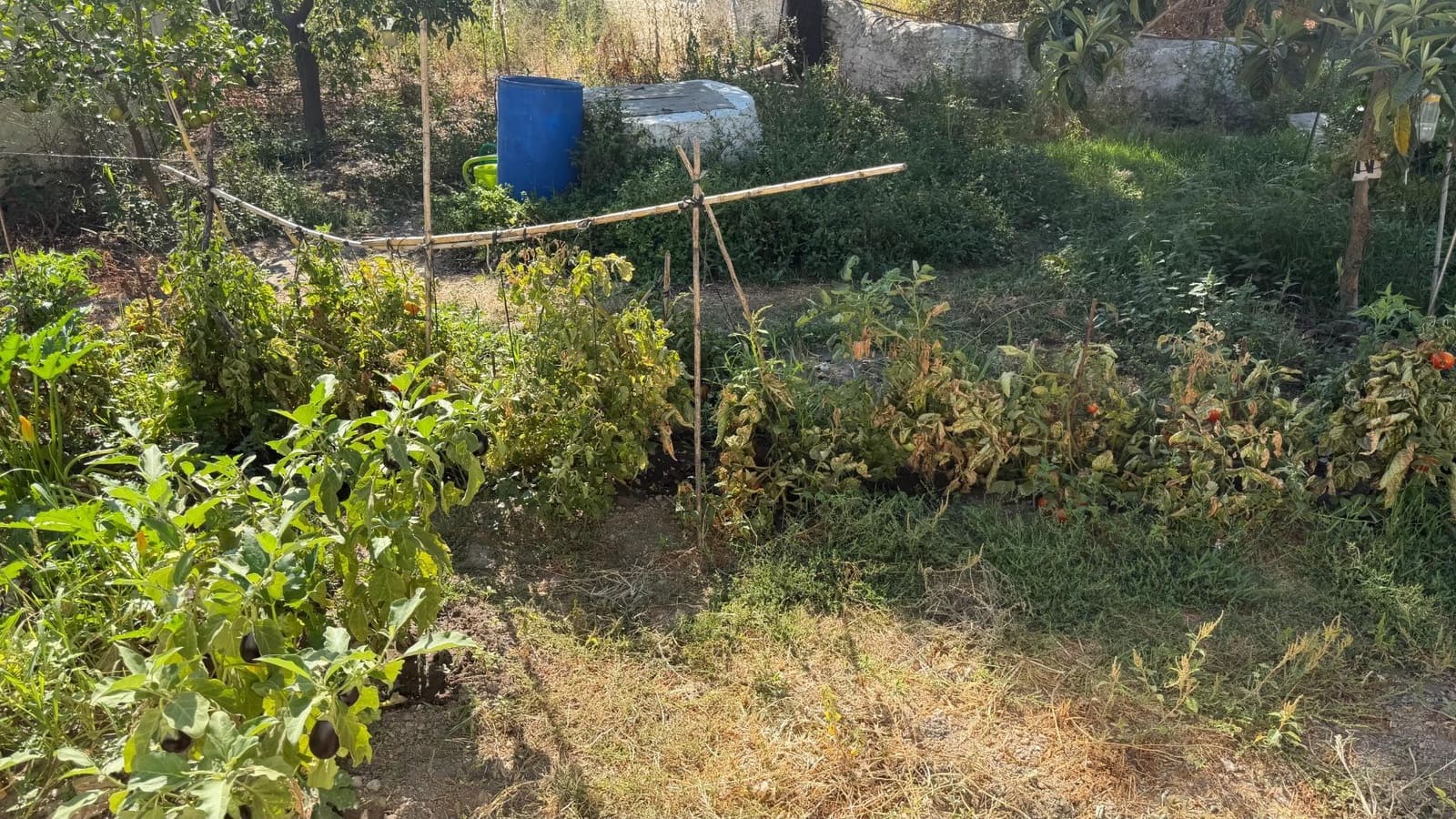 Terreno Não Urbanizado para venda em Alosno - 190 000 € (Ref: 10043140)