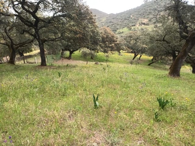 Mark till salu i Aracena - 40 000 € (Ref: 7808059)