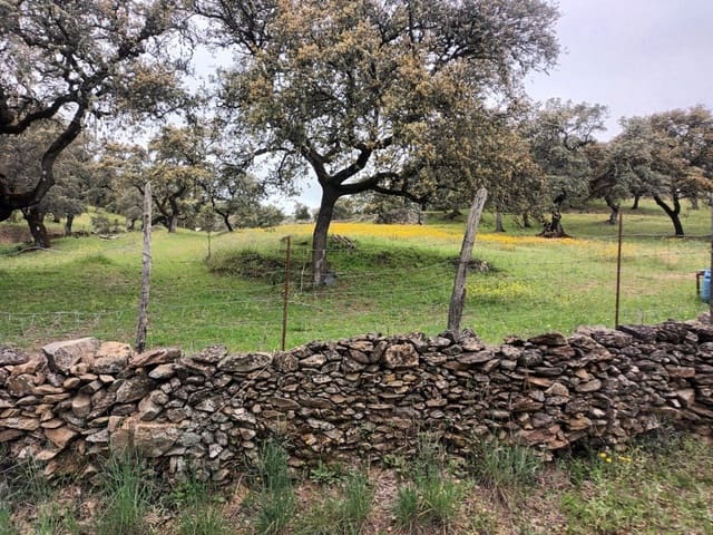 Mark till salu i Aracena - 40 000 € (Ref: 7808059)