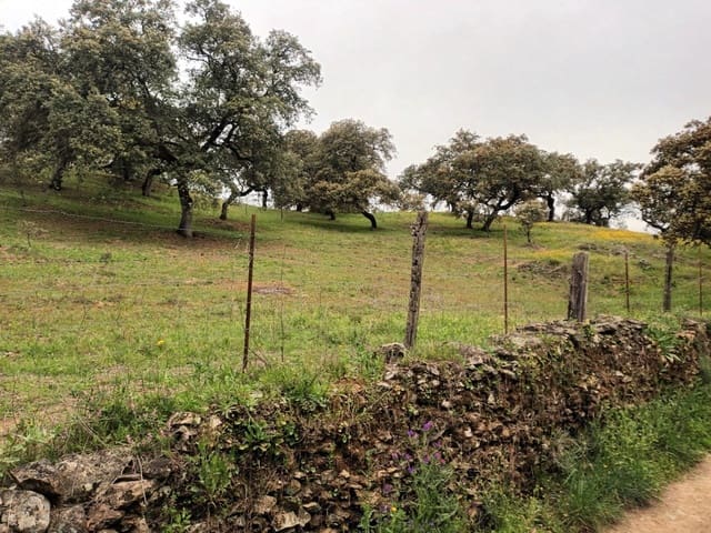 Ubebygd land til salgs i Aracena - € 40 000 (Ref: 7808059)