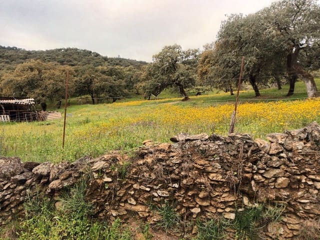 Ubebygd land til salgs i Aracena - € 40 000 (Ref: 7808059)