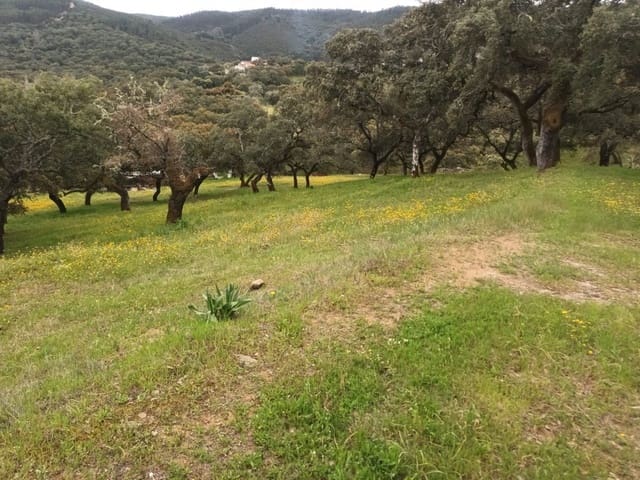 Ubebygd land til salgs i Aracena - € 40 000 (Ref: 7808059)